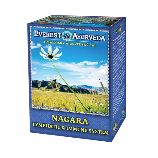 EVEREST AYURVEDA Nagara lymfatický systém a imunita sypaný čaj 100 g