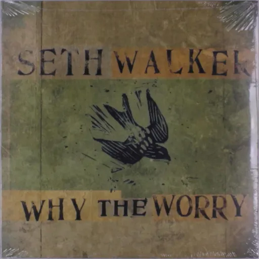 Walker Seth Why the worry Vinyl