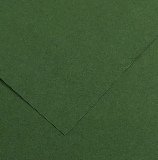 CANSON COLORLINE - Obojstranné farebné papiere 50 x 65 cm, 31 - fir tree, 10 ks