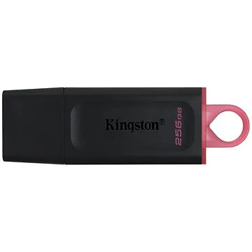 Kingston DataTraveler Exodia 256 GB (DTX/256GB)