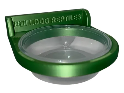 XXL držiak na misky do terária tropická zelená 50 ml