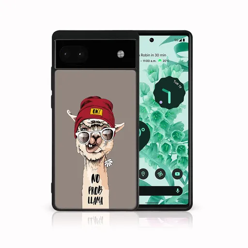 MY ART Ochranný kryt pre Google Pixel 6a PROBLLAMA (187)