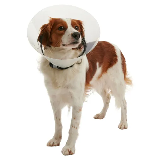 BUSTER Clic Collar plastový ochranný golier 1 ks, Veľkosť: XS