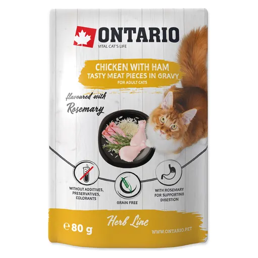 ONTARIO Vrecko kuracie so šunkou v omáčke 80 g