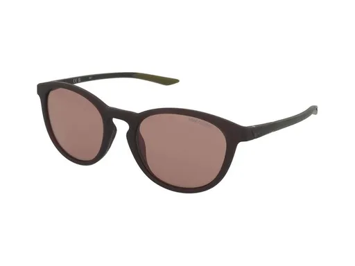 Nike Evolution E DZ7361 220