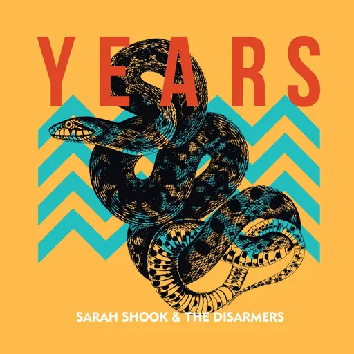 SHOOK, SARAH & THE DISARM - YEARS -HQ- LP