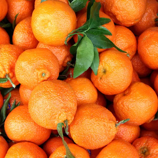 Astera Homeopathica Mandarínkový sorbet 75 ml