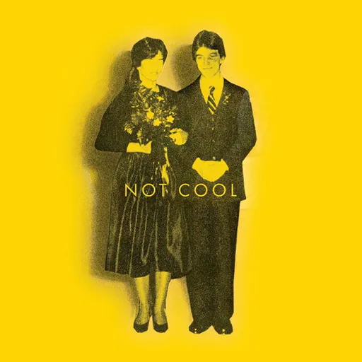 Tim Easton, EASTON, TIM - NOT COOL CD, CD