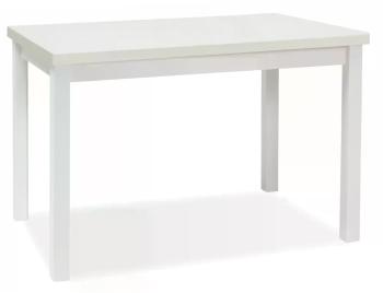 Adamov stôl 120