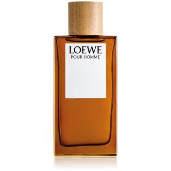 Loewe Loewe Pour Homme toaletná voda pre mužov 150 ml