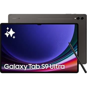Samsung Galaxy Tab S9 5G 8 GB / 128 GB grafitová (SM-X716BZAAEUE) + ZDARMA Služba AlzaPlus+ ročné členstvo ako darček