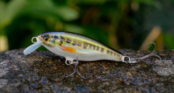 3stan wobler belly minnow bm40 h-mn 4 cm 2,8 g