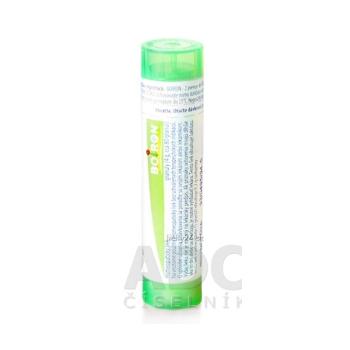 CHAMOMILLA VULGARIS GRA CH5