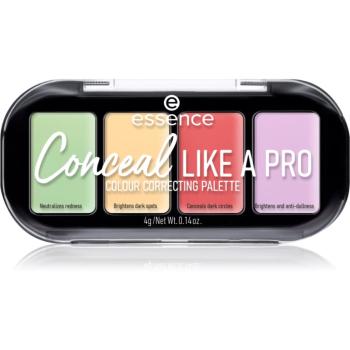 Essence CONCEAL like a PRO paleta korektorov 4 g