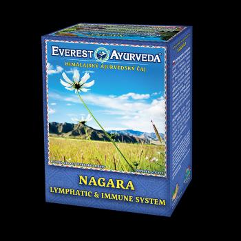 EVEREST AYURVEDA Nagara lymfatický systém a imunita sypaný čaj 100 g