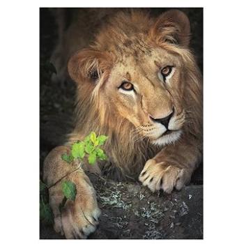 Dino Kráľ zvierat 500 puzzle (8590878502598)