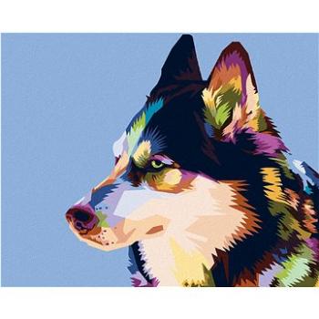Maľovanie podľa čísel – Farebný husky (HRAbz33528nad)
