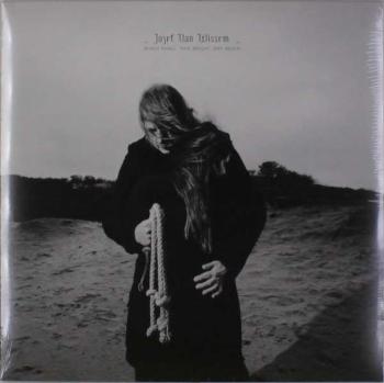 WISSEM, JOZEF VAN - WHEN SHALL THIS BRIGHT DAY BEGIN, Vinyl