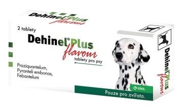 DEHINEL Plus flavour tablety 2 tabliet