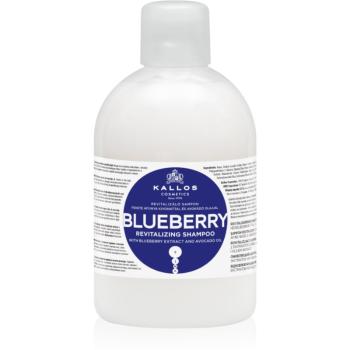 Kallos KJMN Professional Blueberry obnovujúci šampón pre suché, poškodené, chemicky ošetrené vlasy 1000 ml