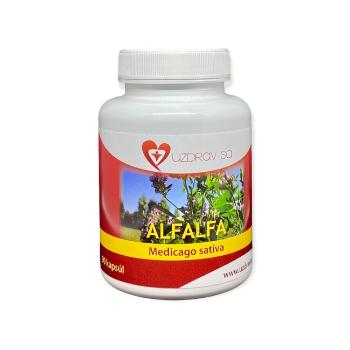 Alfalfa - lucerna 90 cps