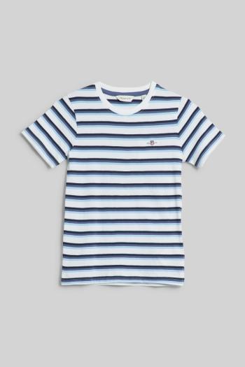 PÓLÓ GANT STRIPED SHIELD T-SHIRT WHITE