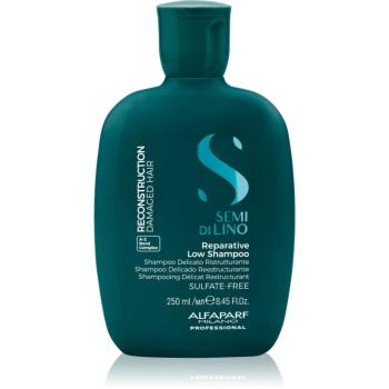 Alfaparf Milano Semi di Lino Reconstruction Reparative obnovujúci šampón pre poškodené vlasy 250 ml