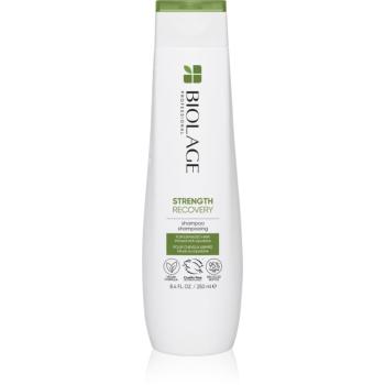 Biolage Strength Recovery šampón pre poškodené vlasy 250 ml