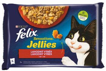 FELIX Sensations cat Multipack hovädzie & kura v želé kapsičky pre mačky 4x85g