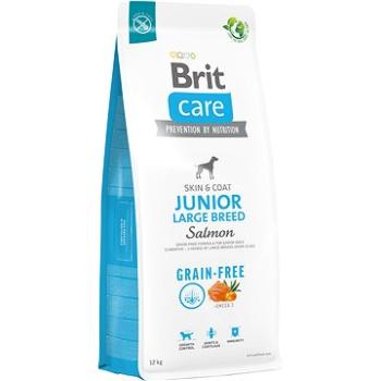 Brit Care Dog Grain-free s lososom Junior Large Breed 12 kg (8595602558865)