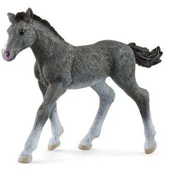 Schleich 13944 Zvieratko – žriebä trakénske (4059433461106)