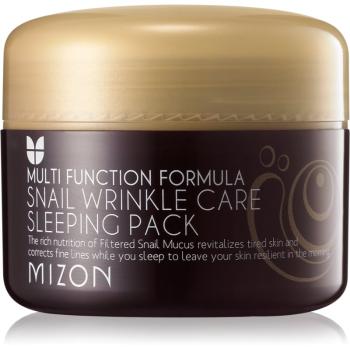 Mizon Multi Function Formula Snail regeneračná pleťová maska s extraktom zo slimáka 80 ml