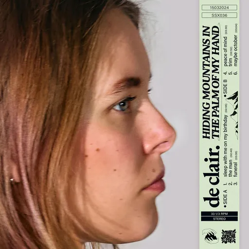 DE CLAIR. - HIDING MOUNTAINS IN THE PALM LP