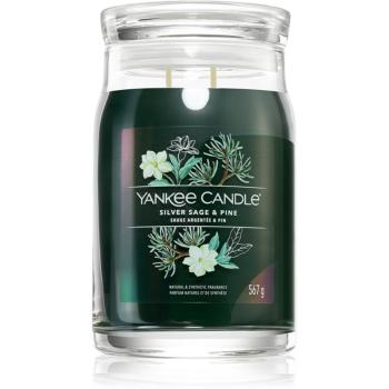 Yankee Candle Silver Sage & Pine vonná sviečka Signature 567 g