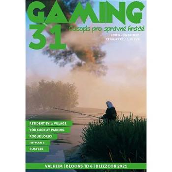 GAMING 31 (999-00-031-8239-5)