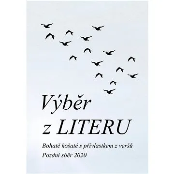 Výběr z LITERU (999-00-026-4546-4)