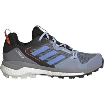 adidas TERREX SKYCHASER 2 GTX Pánská treková obuv, modrá, velikost 47 1/3
