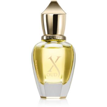 Xerjoff Oud Luban parfémovaný olej unisex 15 ml