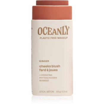 Attitude Oceanly Plastic Free Makeup tuhá krémová lícenka pre suchú až citlivú pleť odtieň Ginger 8.5 g