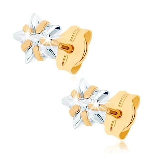 Zlaté náušnice 9K s čírym zirkónom v tvare hviezdy