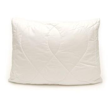 Brotex - Vankúš Aloe Vera 70×90 cm 700 g so zipsom guľôčky STANDARD (60797/55)