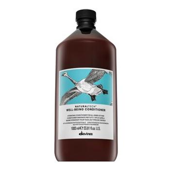 Davines Natural Tech Well-Being Conditioner vyživujúci kondicionér pre hebkosť a lesk vlasov 1000 ml