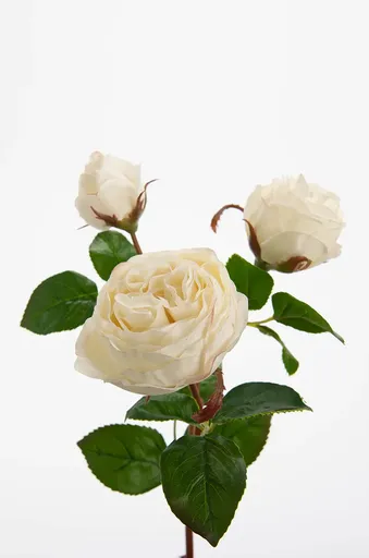 Umelé kvety home & lifestyle