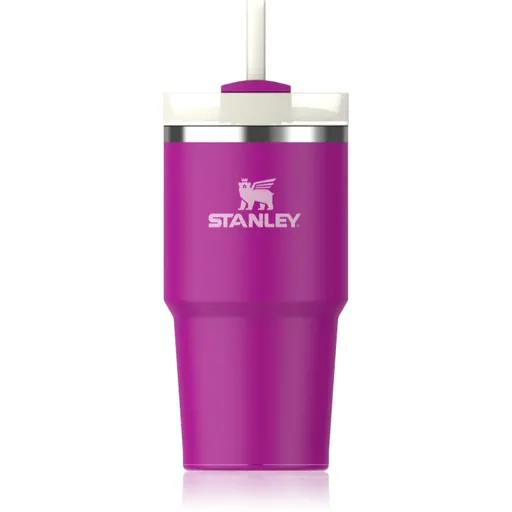 Stanley Quencher H2.O FlowState™ Tumbler tumbler z nehrdzavejúcej ocele s rúrkou malý Violet Blossom 600 ml