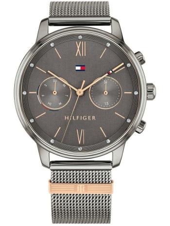 Dámske hodinky  TOMMY HILFIGER 1782304 BLAKE (zf515b)