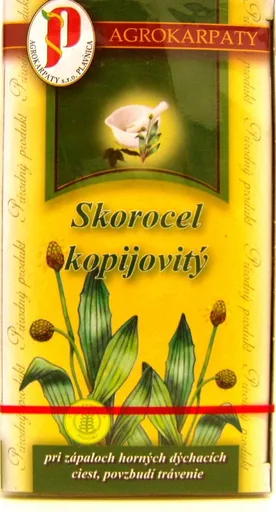 Agrokarpaty čaj Skorocel kopijovitý 20 x 2 g