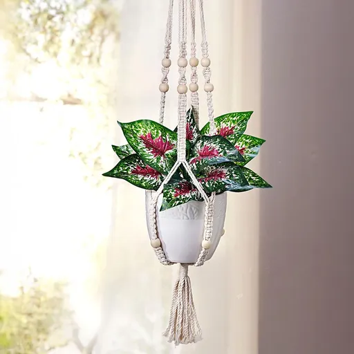 Weltbild Umělá rostlina v květináči a makramé závěsu