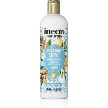 Inecto Argan šampón na lesk a hebkosť vlasov 500 ml