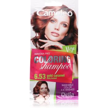 Delia Cosmetics Cameleo Coloring Shampoo tónovací šampón na vlasy odtieň 6.53 40 ml