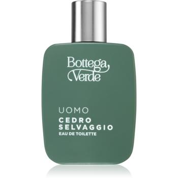 Bottega Verde Cedro Selvaggio toaletná voda pre mužov 50 ml